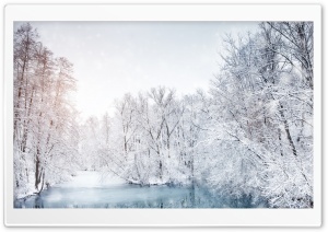 Riverside White Trees, Winter Ultra HD Wallpaper for 4K UHD Widescreen desktop, tablet & smartphone