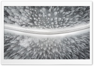 Road Curve, Snowy Forest Trees, Winter Ultra HD Wallpaper for 4K UHD Widescreen desktop, tablet & smartphone