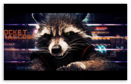 Rocket Raccoon - Guardians of the Galaxy Ultra HD Desktop Background  Wallpaper for 4K UHD TV : Widescreen & UltraWide Desktop & Laptop : Tablet  : Smartphone