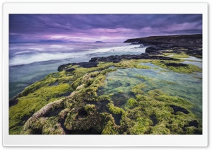 Rocks and Algae Ultra HD Wallpaper for 4K UHD Widescreen desktop, tablet & smartphone