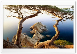 Rocky Coast Ultra HD Wallpaper for 4K UHD Widescreen desktop, tablet & smartphone