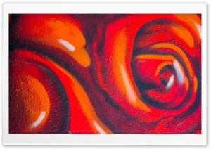 Rose Graffiti Ultra HD Wallpaper for 4K UHD Widescreen desktop, tablet & smartphone
