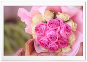 Roses Ultra HD Wallpaper for 4K UHD Widescreen desktop, tablet & smartphone