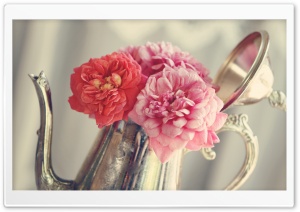 Roses Flowers, Antique Silver Teapot Ultra HD Wallpaper for 4K UHD Widescreen desktop, tablet & smartphone