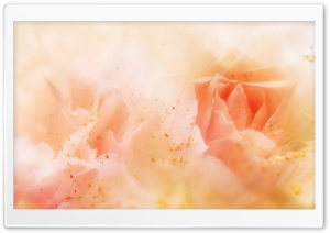 Roses Magic 5 Ultra HD Wallpaper for 4K UHD Widescreen desktop, tablet & smartphone
