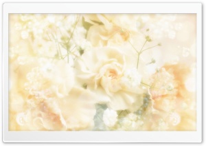 Roses Magic 9 Ultra HD Wallpaper for 4K UHD Widescreen desktop, tablet & smartphone