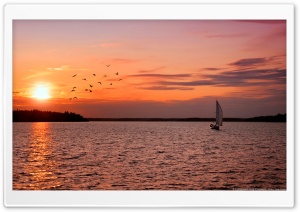 Sailboat at sunset with birds, Sweden Ultra HD Wallpaper for 4K UHD Widescreen desktop, tablet & smartphone