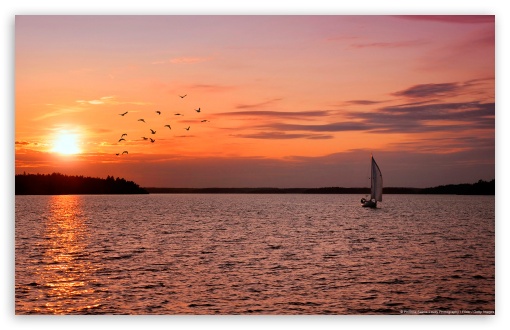 Sailboat at sunset with birds, Sweden UltraHD Wallpaper for Wide 16:10 Widescreen WHXGA WQXGA WUXGA WXGA ;