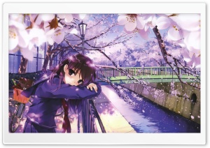Sakura Spring Ultra HD Wallpaper for 4K UHD Widescreen desktop, tablet & smartphone