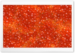 Salmon Caviar Ultra HD Wallpaper for 4K UHD Widescreen desktop, tablet & smartphone