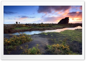 Scenery Of Nature Ultra HD Wallpaper for 4K UHD Widescreen desktop, tablet & smartphone