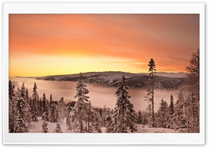 Scenery Season Winter River Fir Valley Ultra HD Wallpaper for 4K UHD Widescreen desktop, tablet & smartphone