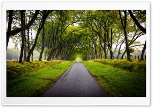 Scotland Landscape Ultra HD Wallpaper for 4K UHD Widescreen desktop, tablet & smartphone