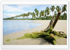 Sea Beach Ultra HD Wallpaper for 4K UHD Widescreen desktop, tablet & smartphone