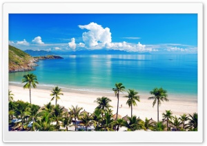 Sea, Beach, Palm. Ultra HD Wallpaper for 4K UHD Widescreen desktop, tablet & smartphone