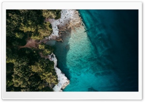 Sea Forest Ultra HD Wallpaper for 4K UHD Widescreen desktop, tablet & smartphone