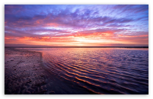 Download 21 Horizon-background Download-wallpaper-3648x5472-sunset-sea-sun-light-coast-.jpg
