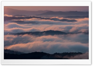 Sea Of Clouds Ultra HD Wallpaper for 4K UHD Widescreen desktop, tablet & smartphone