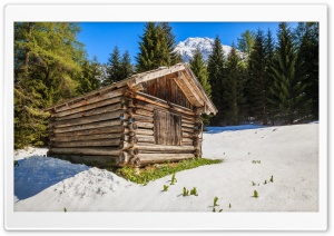 Season Winter Austria Tirol Fir Snow Ultra HD Wallpaper for 4K UHD Widescreen desktop, tablet & smartphone