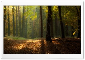 Serene Autumn Landscape Ultra HD Wallpaper for 4K UHD Widescreen desktop, tablet & smartphone