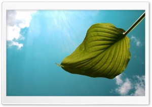 Serene Sky Ultra HD Wallpaper for 4K UHD Widescreen desktop, tablet & smartphone