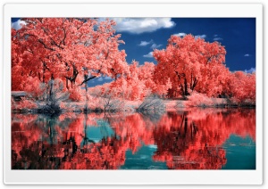 Shallow Ultra HD Wallpaper for 4K UHD Widescreen desktop, tablet & smartphone