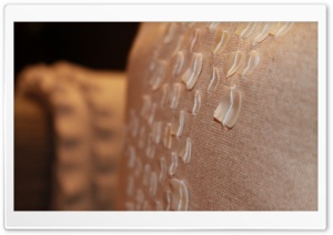 Shells On A Cushion Ultra HD Wallpaper for 4K UHD Widescreen desktop, tablet & smartphone