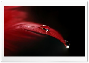 Shine Ultra HD Wallpaper for 4K UHD Widescreen desktop, tablet & smartphone