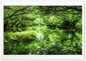 WallpapersWide.com | Nature HD Desktop Wallpapers for Widescreen, High