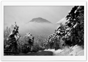 Silence And Stillness On A Winter Road Ultra HD Wallpaper for 4K UHD Widescreen desktop, tablet & smartphone