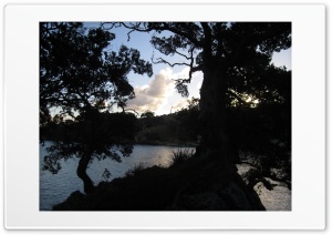 silhouette Ultra HD Wallpaper for 4K UHD Widescreen desktop, tablet & smartphone