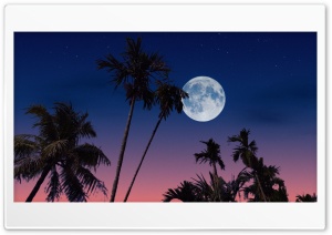 Sky moon Ultra HD Wallpaper for 4K UHD Widescreen desktop, tablet & smartphone
