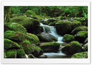 Small Waterfall Ultra HD Wallpaper for 4K UHD Widescreen desktop, tablet & smartphone