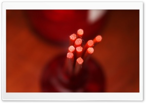Smelly Sticks Ultra HD Wallpaper for 4K UHD Widescreen desktop, tablet & smartphone