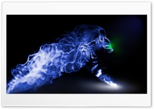 Smoken Cat Ultra HD Wallpaper for 4K UHD Widescreen desktop, tablet & smartphone