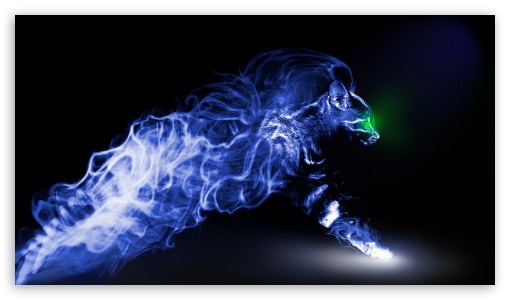 Smoken Cat UltraHD Wallpaper for 8K UHD TV 16:9 Ultra High Definition 2160p 1440p 1080p 900p 720p ;