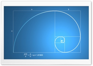 Snail Shell Spiral Ultra HD Wallpaper for 4K UHD Widescreen desktop, tablet & smartphone
