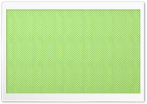 Snake Scales Close-up Ultra HD Wallpaper for 4K UHD Widescreen desktop, tablet & smartphone