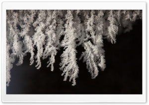 Snow Close-Up Ultra HD Wallpaper for 4K UHD Widescreen desktop, tablet & smartphone