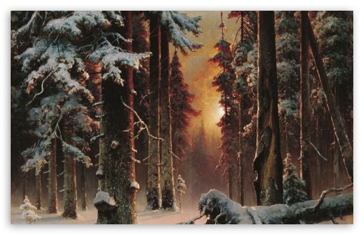 snow in the forest UltraHD Wallpaper for Wide 16:10 Widescreen WHXGA WQXGA WUXGA WXGA ;