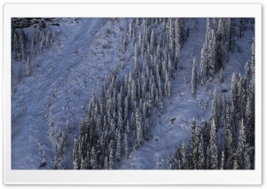 Snow, Like A Lot Of Snow Ultra HD Wallpaper for 4K UHD Widescreen desktop, tablet & smartphone