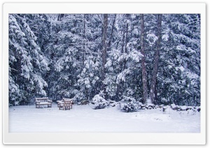 Snow Storm Ultra HD Wallpaper for 4K UHD Widescreen desktop, tablet & smartphone