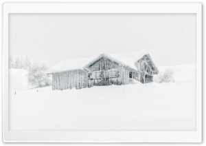 Snowfall Scene Ultra HD Wallpaper for 4K UHD Widescreen desktop, tablet & smartphone