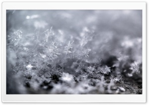 Snowflake Ultra HD Wallpaper for 4K UHD Widescreen desktop, tablet & smartphone