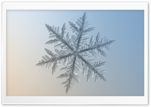 Snowflake Macro Ultra HD Wallpaper for 4K UHD Widescreen desktop, tablet & smartphone