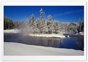 Snowy Fir Trees Ultra HD Wallpaper for 4K UHD Widescreen desktop, tablet & smartphone