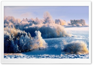 Snowy Hillside Landscape Ultra HD Wallpaper for 4K UHD Widescreen desktop, tablet & smartphone