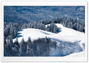 Snowy Mountain Forest Ultra HD Wallpaper for 4K UHD Widescreen desktop, tablet & smartphone