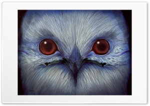 Snowy Owl Ultra HD Wallpaper for 4K UHD Widescreen desktop, tablet & smartphone