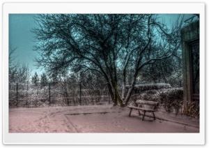 Snowy Tree Ultra HD Wallpaper for 4K UHD Widescreen desktop, tablet & smartphone